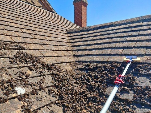 roof-cleaning-3-kireth-ai